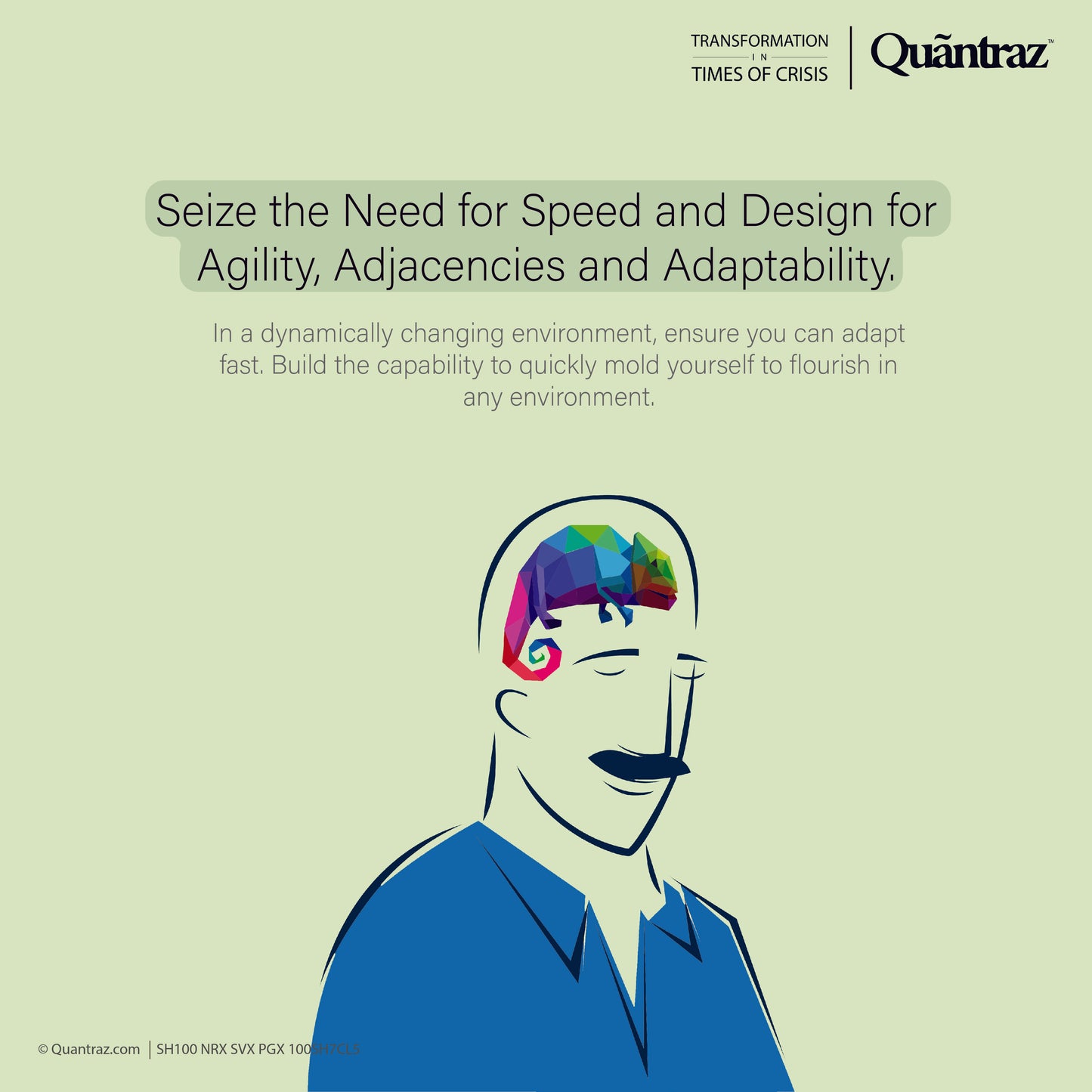 Shallots | Transformation in times of Crisis | SH100