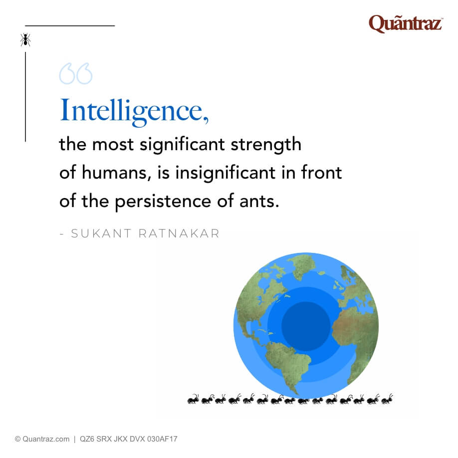Intelligence, the most