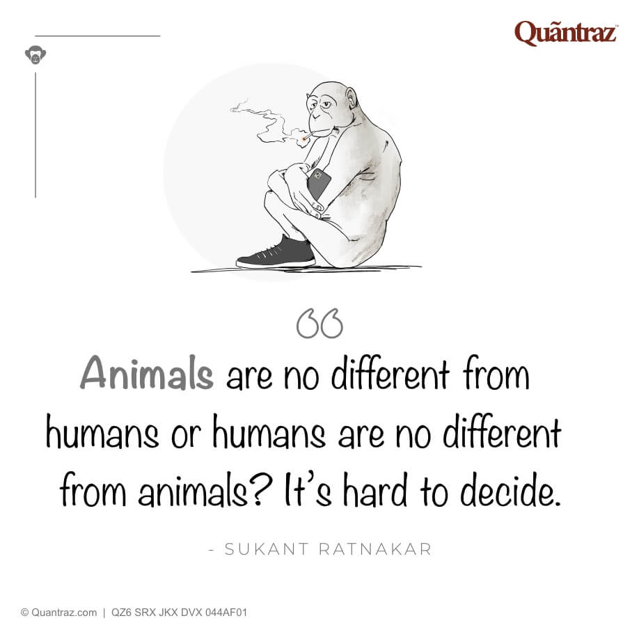 Animals are no