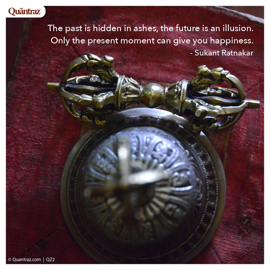 Shallots | SH006 | QZ2