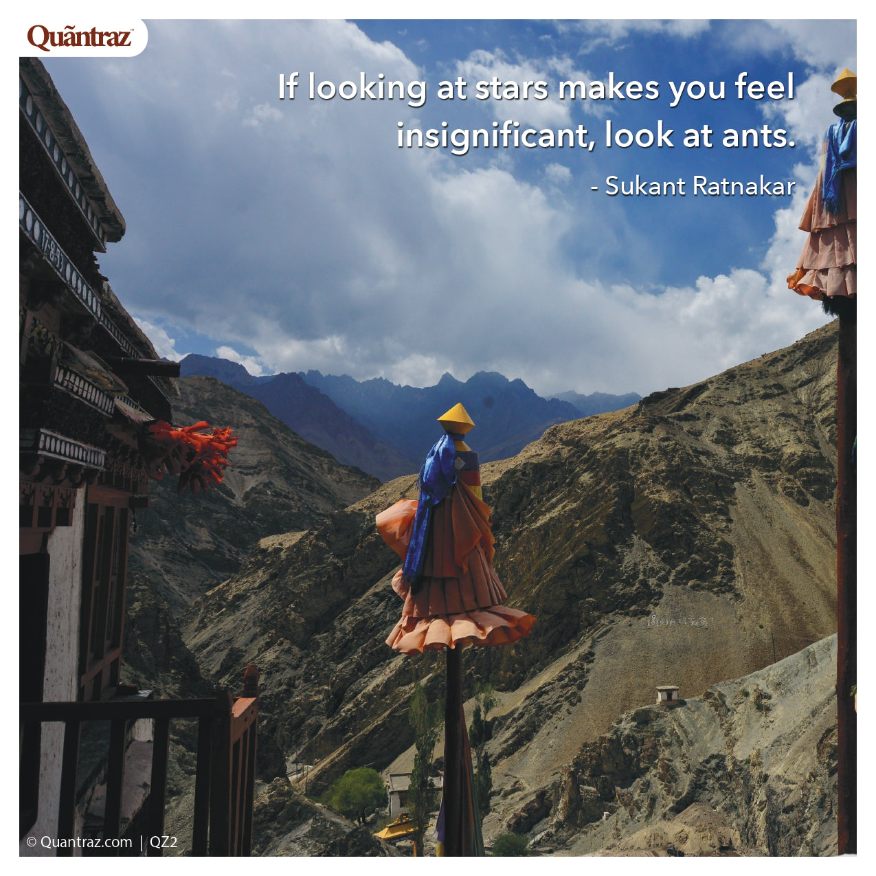 Shallots | SH006 | QZ2