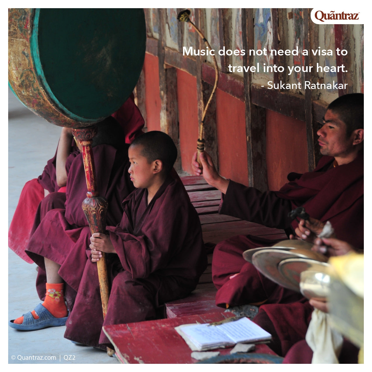 Shallots | SH006 | QZ2