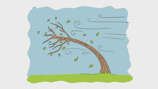 Qudio | Change approaches can’t remain static in a dynamic environment.